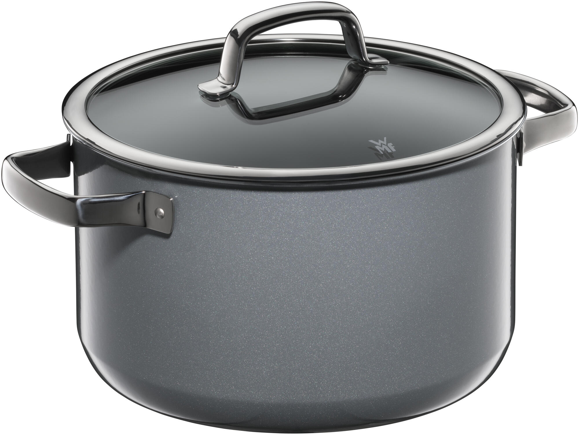 WMF Fusiontec Mineral Soup Pot 24cm with lid Platinum WMF Singapore